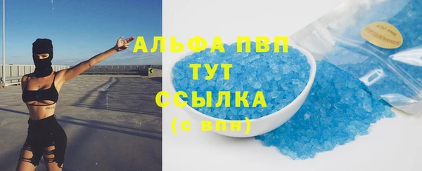 шишки Верхний Тагил